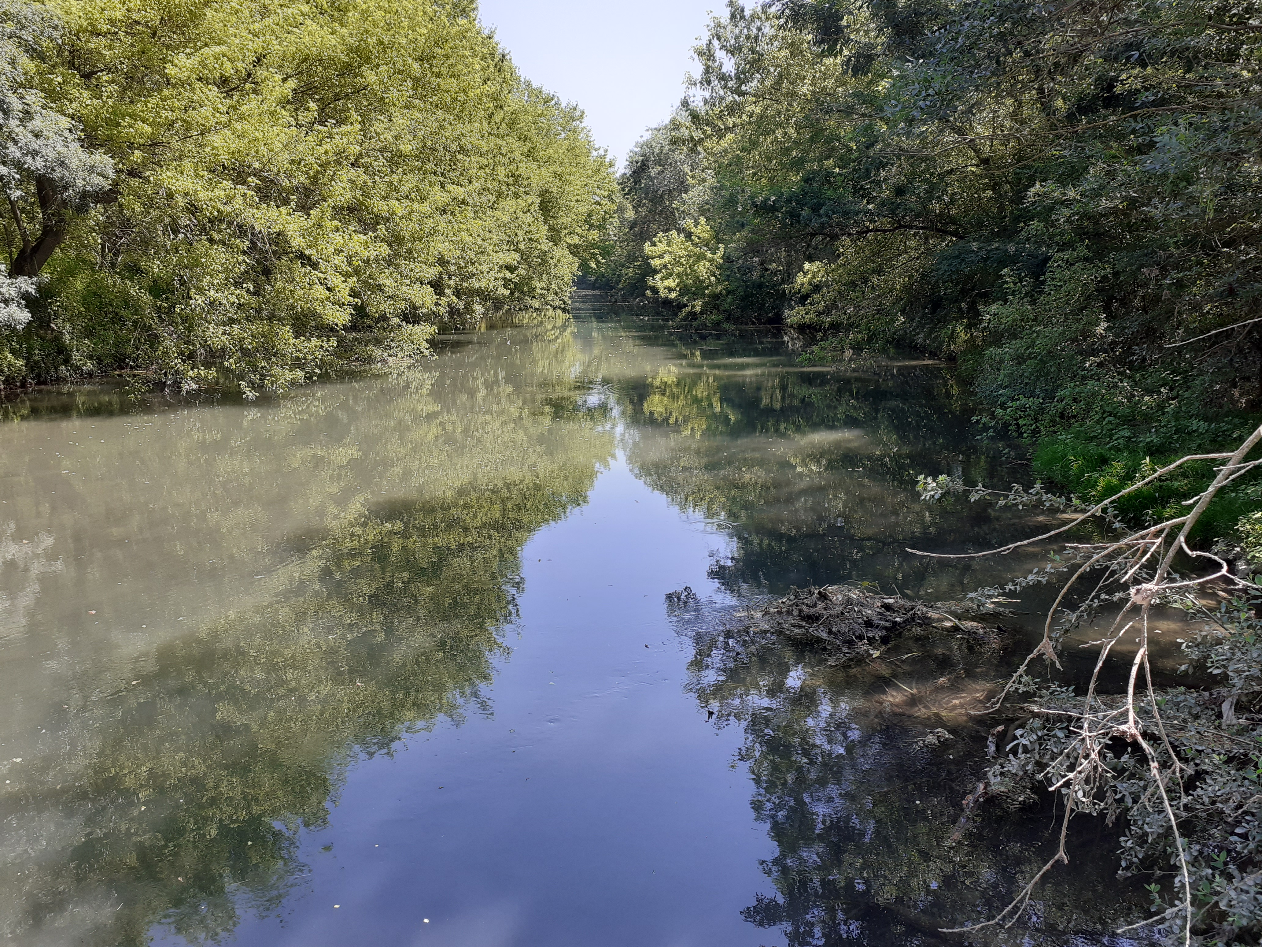 La KAMICYCLETTE à l'Île de la Platière, le 24 juin 2023