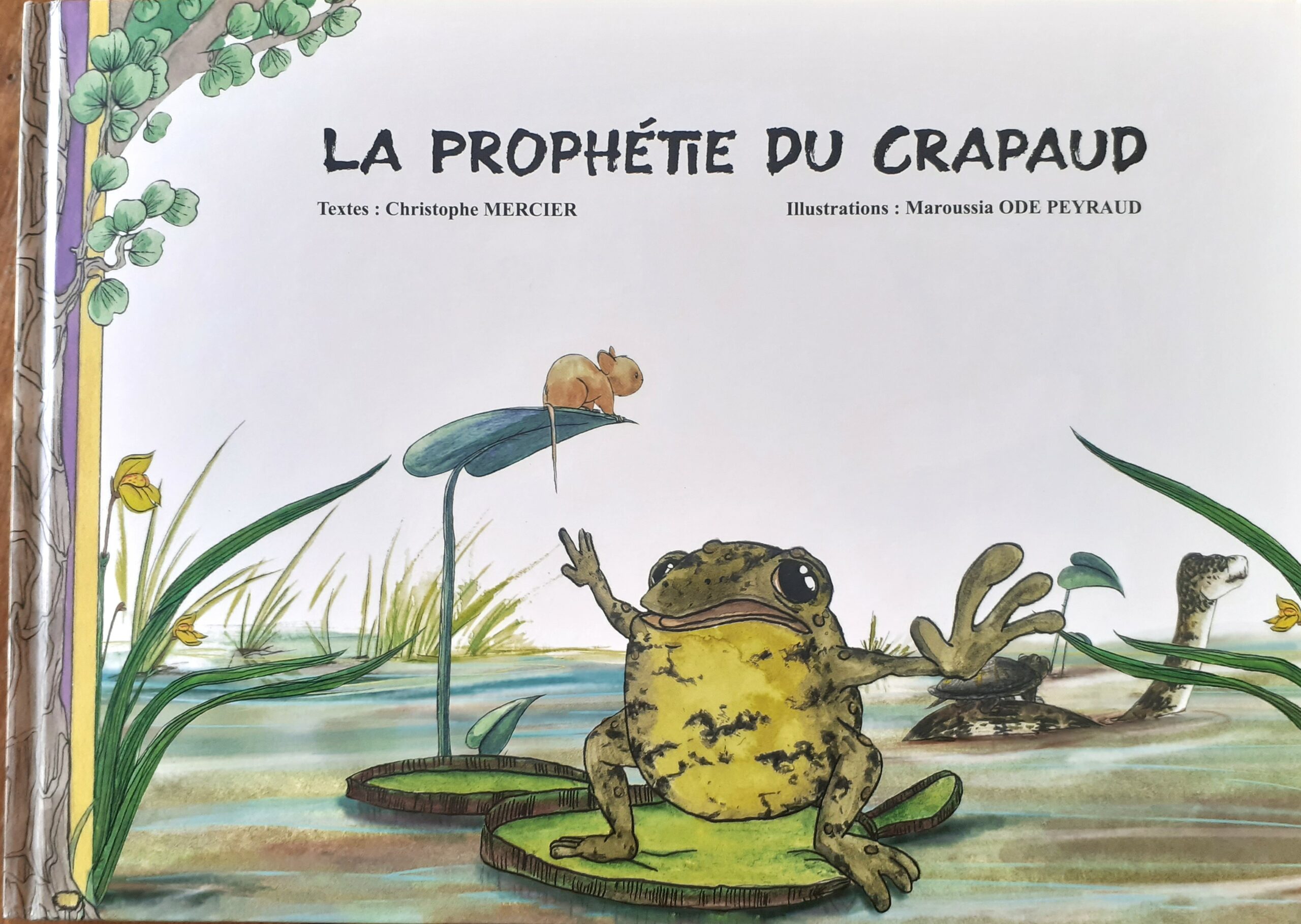 LIVRES ENFANTS